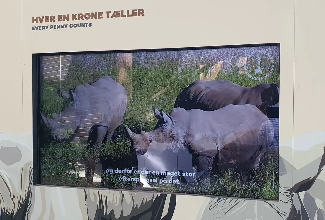 Skærm ved næsehornsanlægget i Zoologisk Have med video om bevarelse